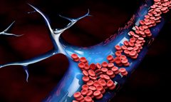 Ανθρώπινα αιμοφόρα αγγεία δημιουργήθηκαν στο εργαστήριο!