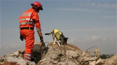 Δημιουργήθηκε «ηλεκτρονικός σκύλος διάσωσης» με όσφρηση!