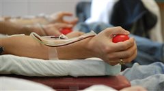 Σταθερή αύξηση του αριθμού εθελοντών αιμοδοτών στην Ελλάδα