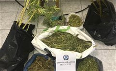 Καλλιεργούσε και διακινούσε κάνναβη (ΦΩΤΟ)